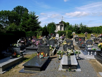 Widok fragmentu cmentarza